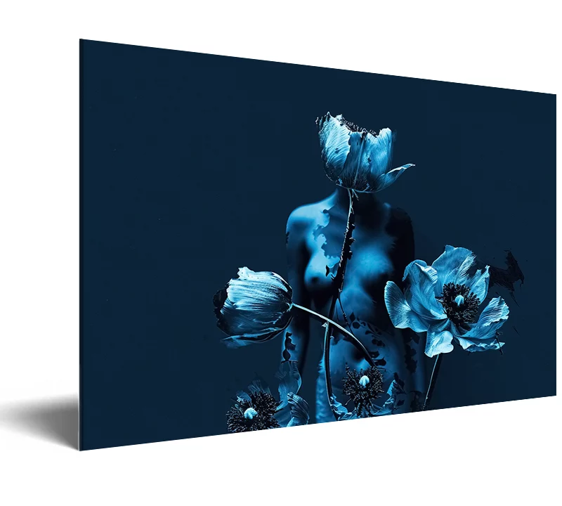 Reveries cyanotype : Floraison Éthérée